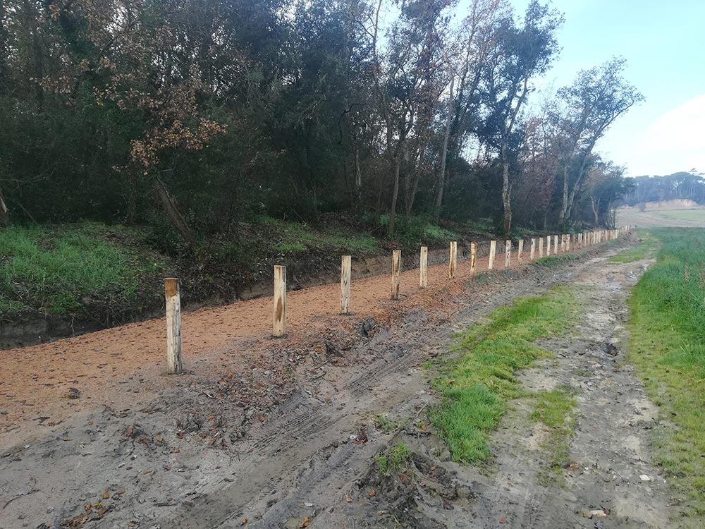 Carril bici limitado con madera de acacia descortezada