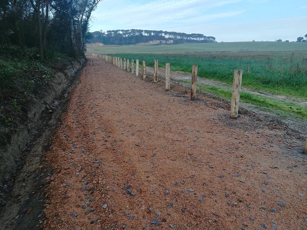 Carril bici limitado con madera de acacia descortezada