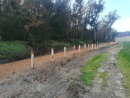 Carril bici limitado con acacia descortezada o pelada